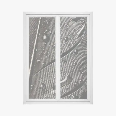 Window decal monochrome feather with water droplets • Wallissimo®