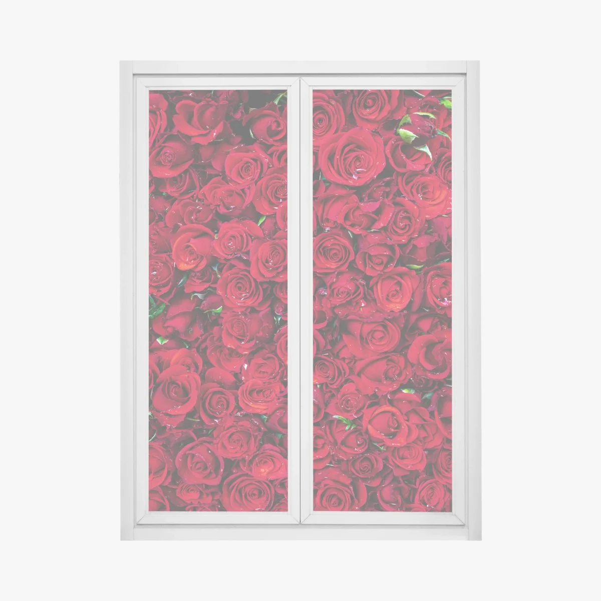 Window decal lush red roses close-up ⁕ Wallissimo® Window decal lush red roses close-up ⁕ Wallissimo®