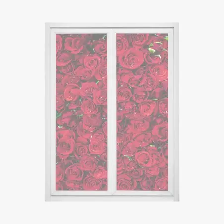 Window decal lush red roses close-up • Wallissimo®