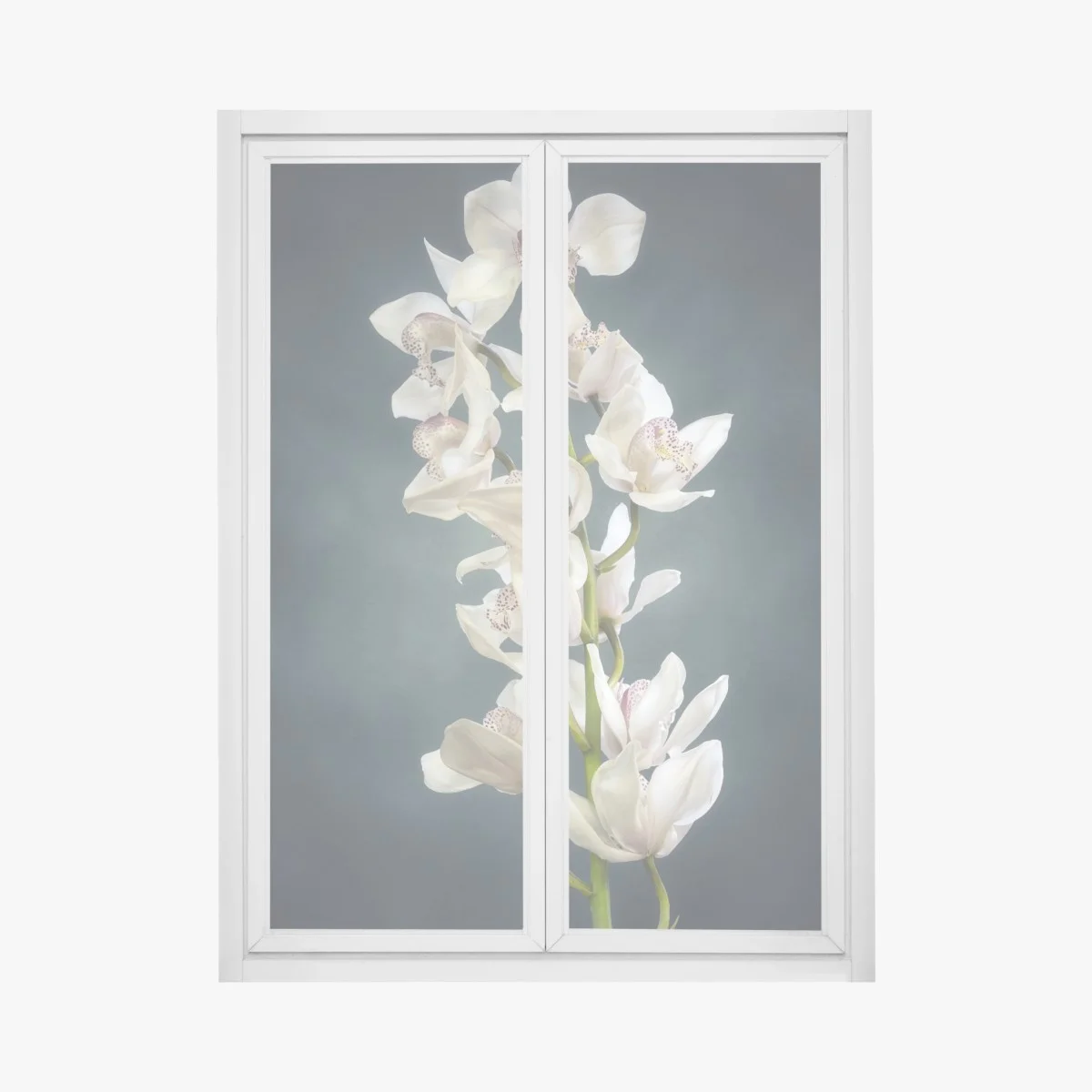 Window decal delicate white orchids on teal background ⁕ Wallissimo® Window decal delicate white orchids on teal background ⁕ Wallissimo®