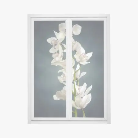 Window decal delicate white orchids on teal background • Wallissimo®