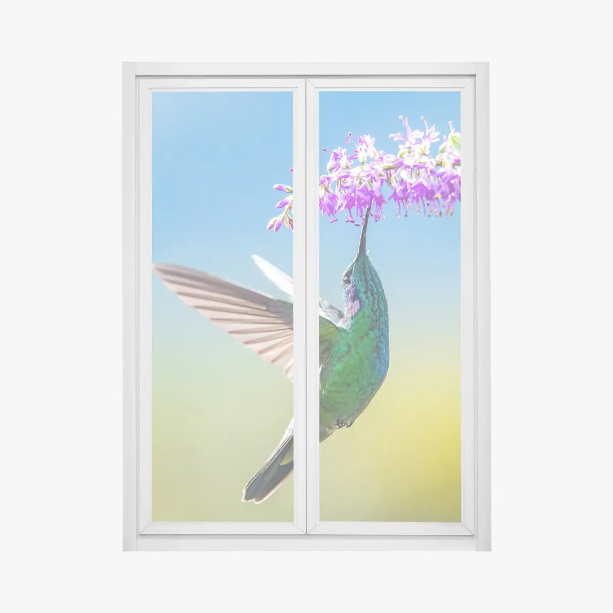 Window decal vibrant hummingbird and purple blossom • Wallissimo® Window decal vibrant hummingbird and purple blossom • Wallissimo®