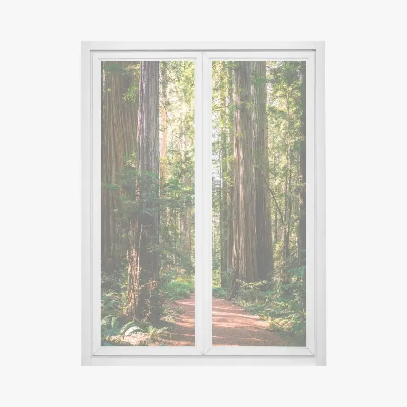 Window decal majestic redwood forest trail