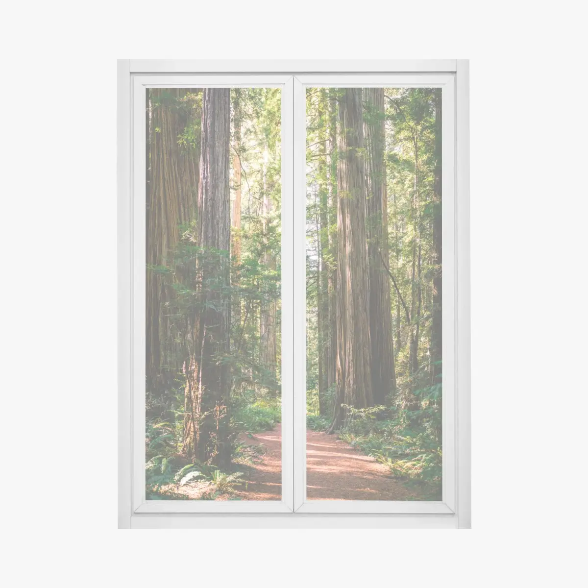 Window decal majestic redwood forest trail • Wallissimo® Window decal majestic redwood forest trail • Wallissimo®