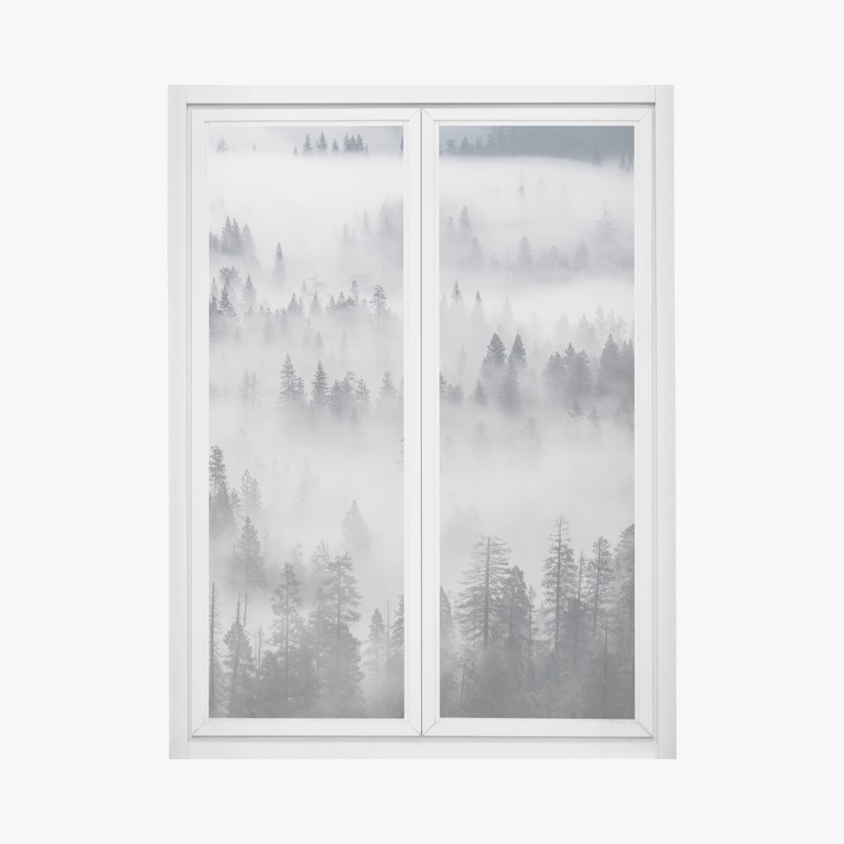 Window decal mist-shrouded pine forest • Wallissimo® Window decal mist-shrouded pine forest • Wallissimo®