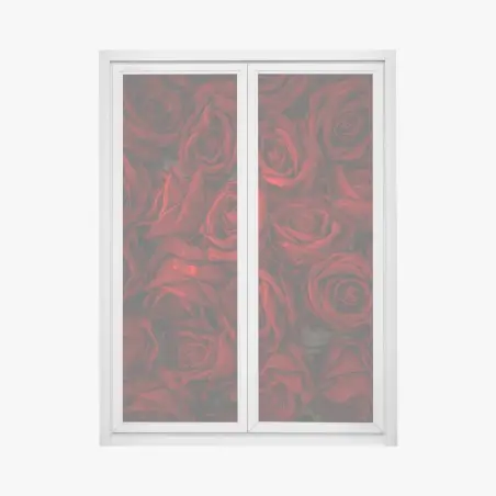 Window decal lush red roses close-up • Wallissimo®