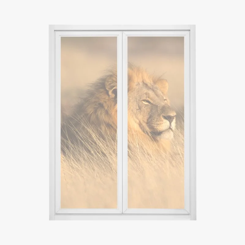 Window decal majestic male lion in tall grass