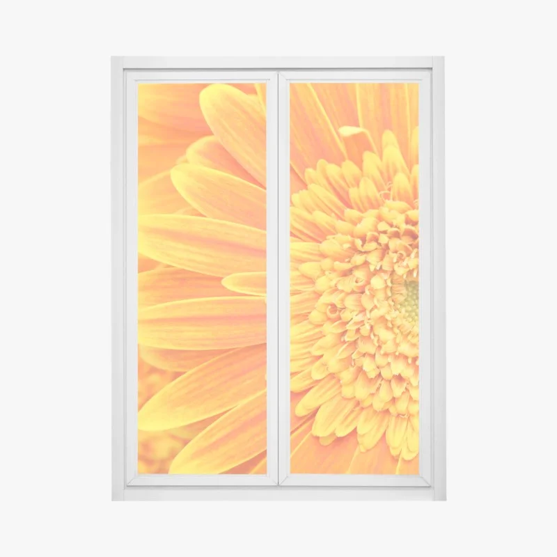 Window decal vibrant orange gerbera close-up