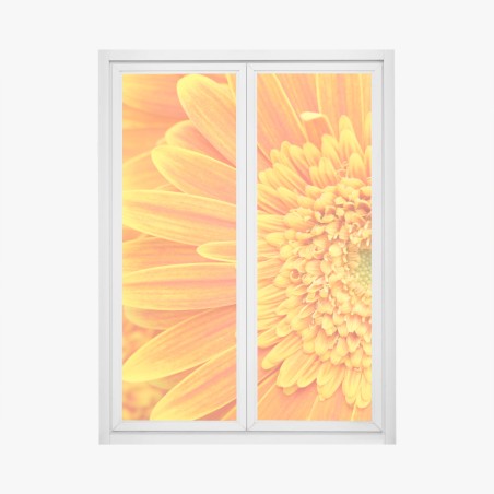 Window decal vibrant orange gerbera close-up • Wallissimo®