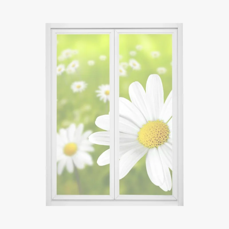 Window decal white daisy meadow