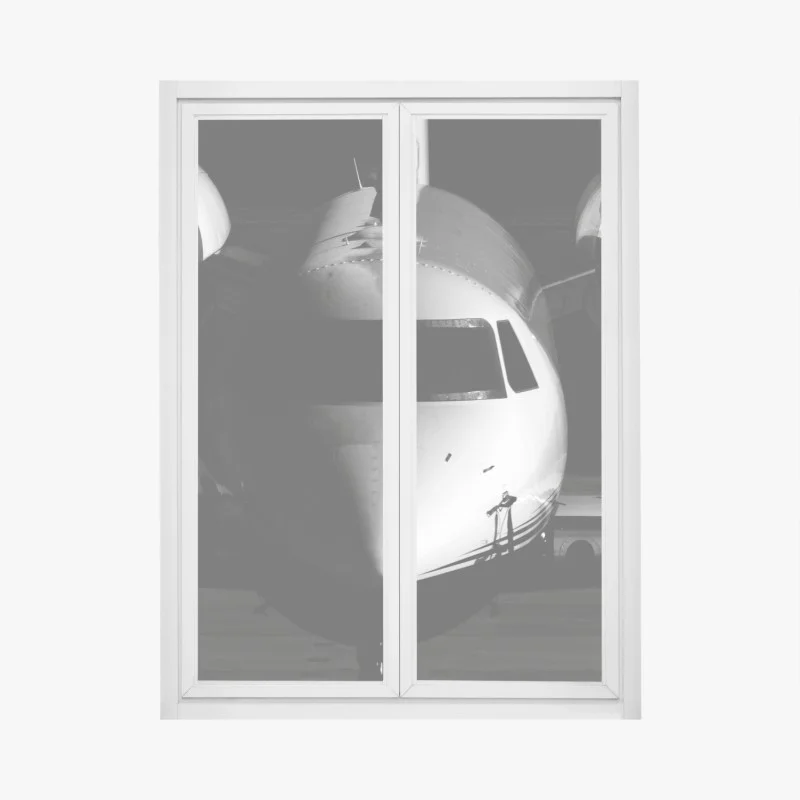 Window decal monochrome private jet front view