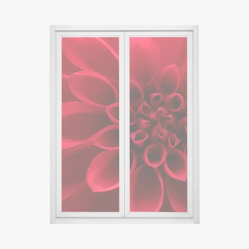 Window decal red dahlia close-up