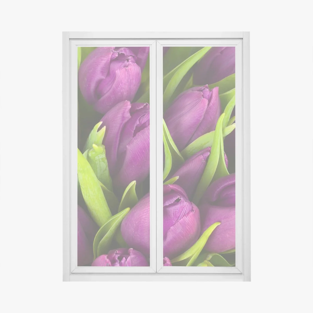 Window decal purple tulip bouquet close-up • Wallissimo® Window decal purple tulip bouquet close-up • Wallissimo®