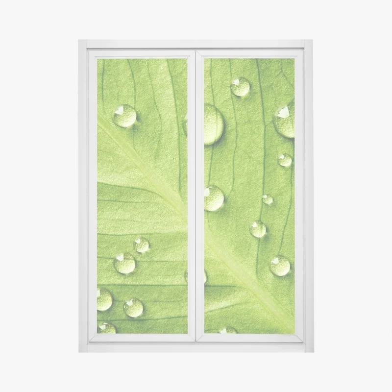 Window decal fresh green leaf with water droplets