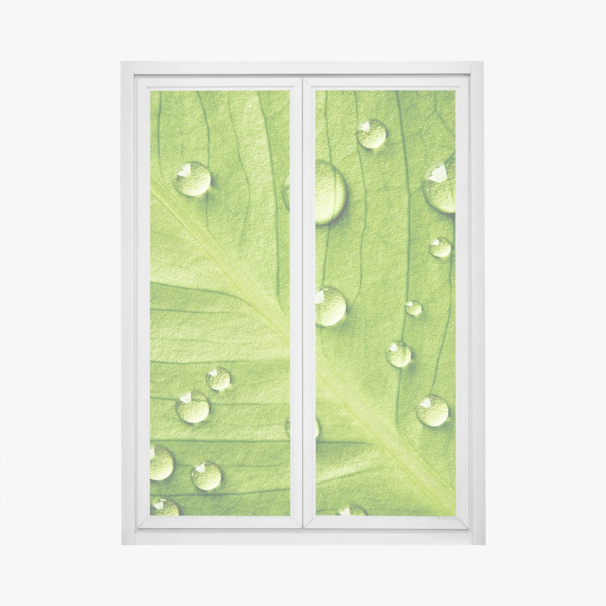 Window decal fresh green leaf with water droplets • Wallissimo® Window decal fresh green leaf with water droplets • Wallissimo®