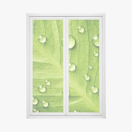 Window decal fresh green leaf with water droplets • Wallissimo®