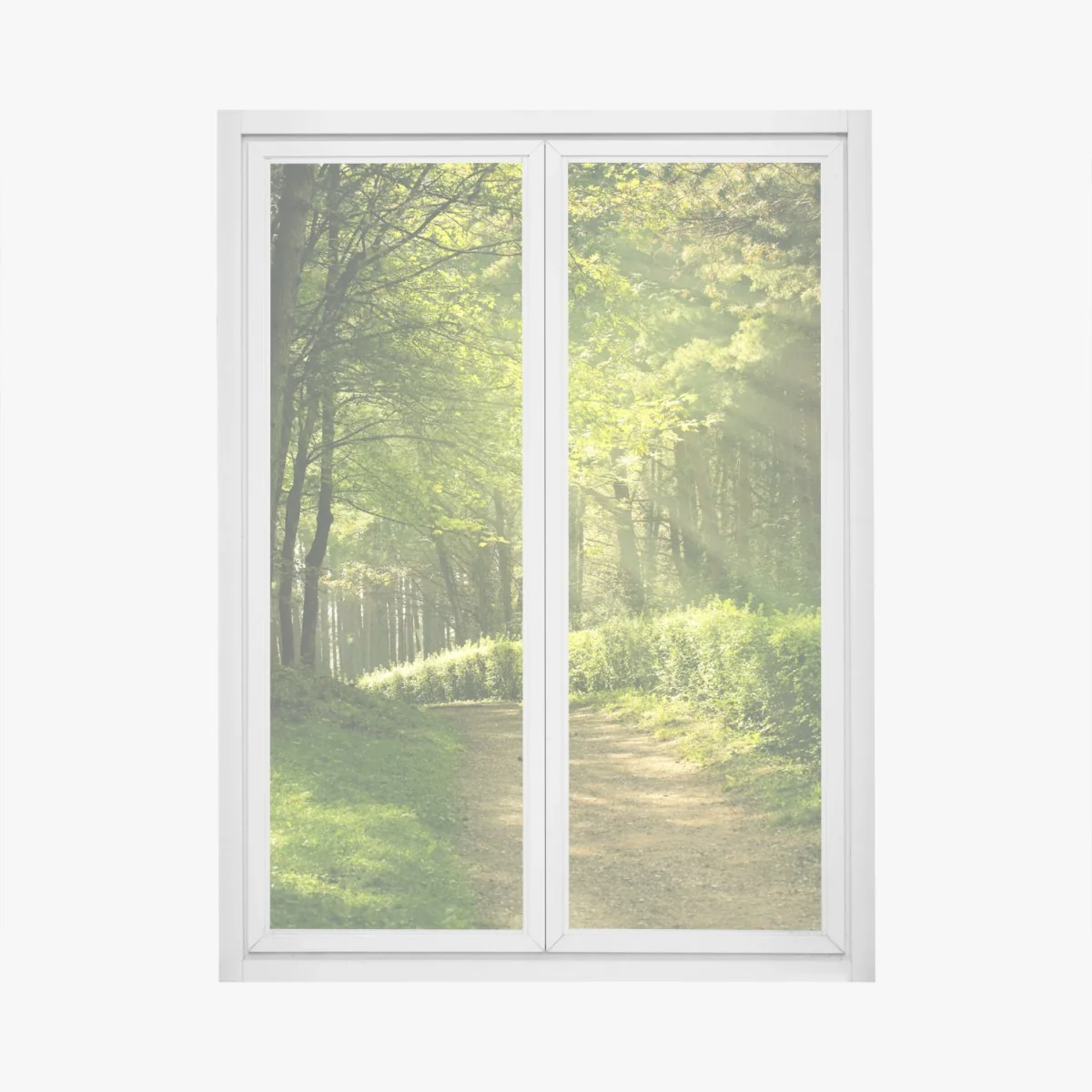 Window decal sunlit forest path in green summer • Wallissimo® Window decal sunlit forest path in green summer • Wallissimo®