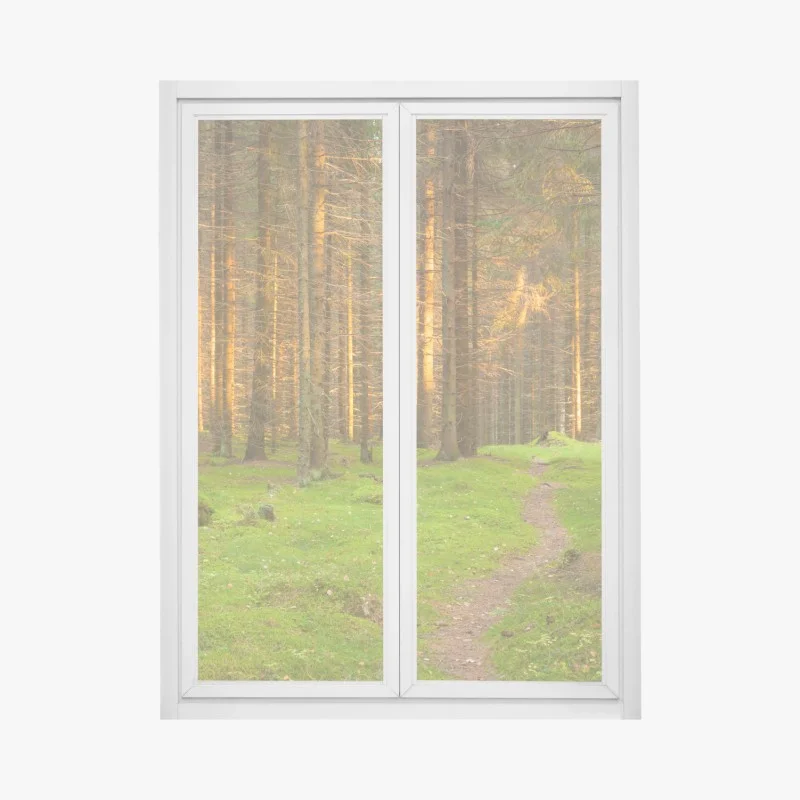Window decal golden light in mossy pine forest