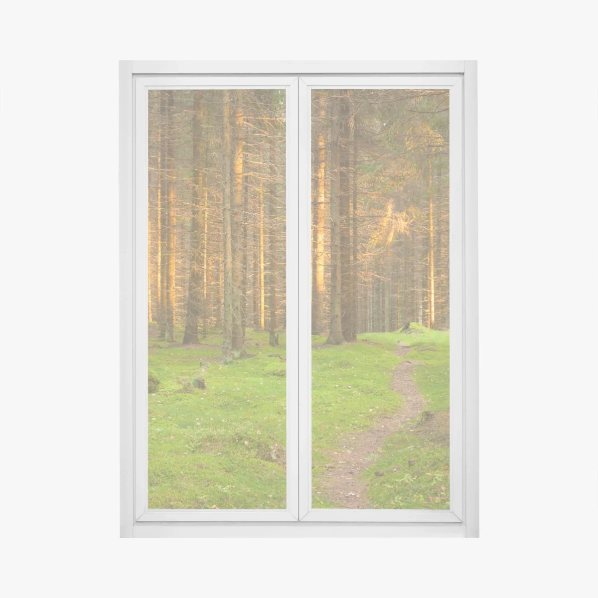 Window decal golden light in mossy pine forest ⁕ Wallissimo® Window decal golden light in mossy pine forest ⁕ Wallissimo®