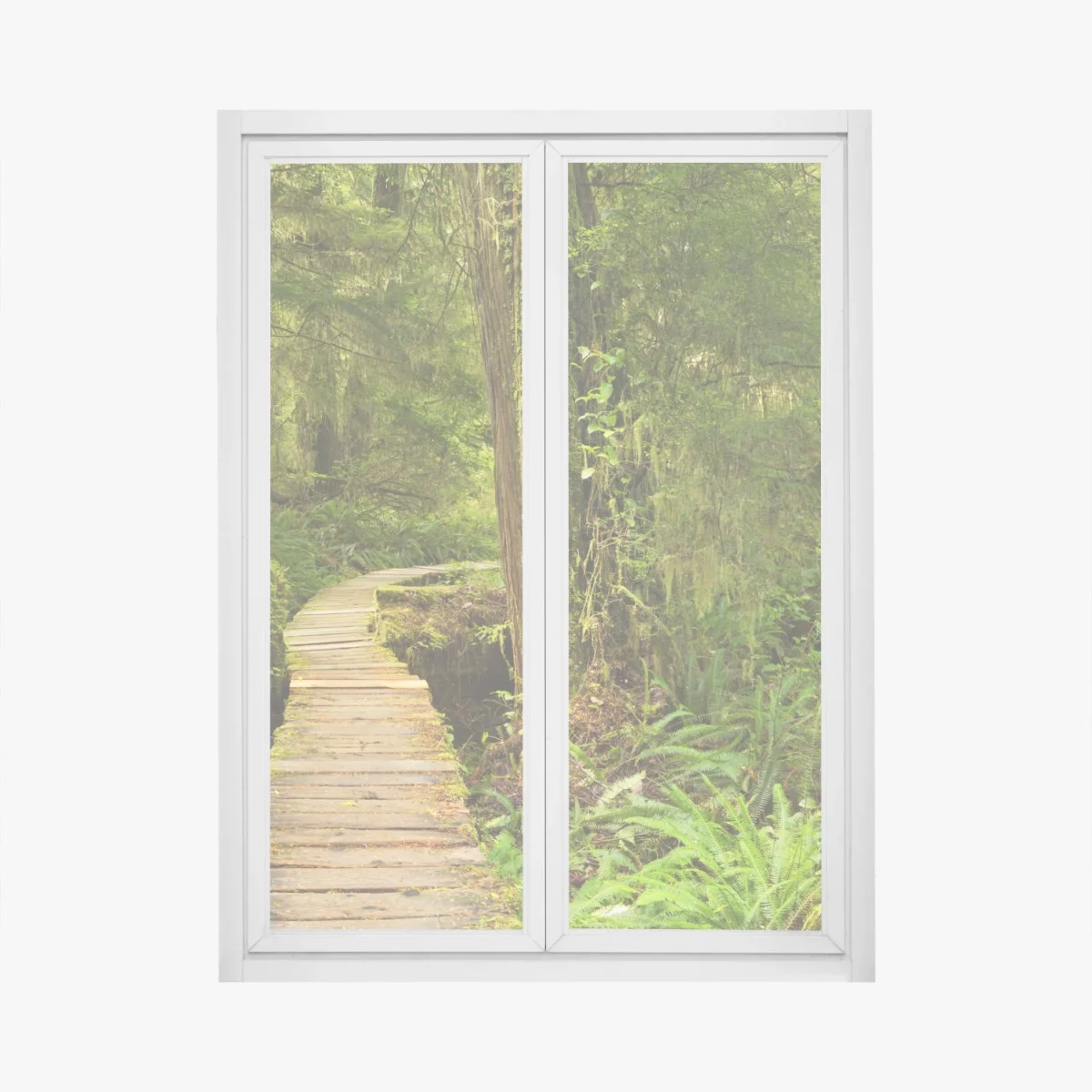 Window decal Pacific Rim rainforest boardwalk • Wallissimo® Window decal Pacific Rim rainforest boardwalk • Wallissimo®