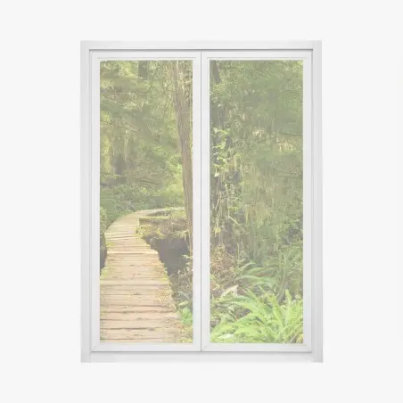 Window decal Pacific Rim rainforest boardwalk • Wallissimo®