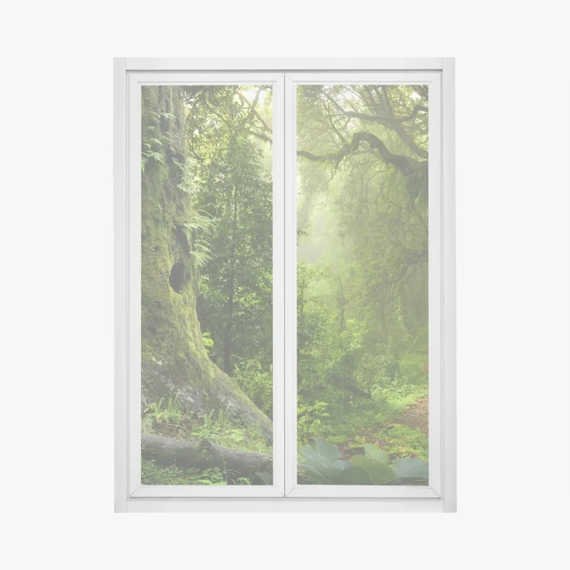Window decal mossy ancient forest path