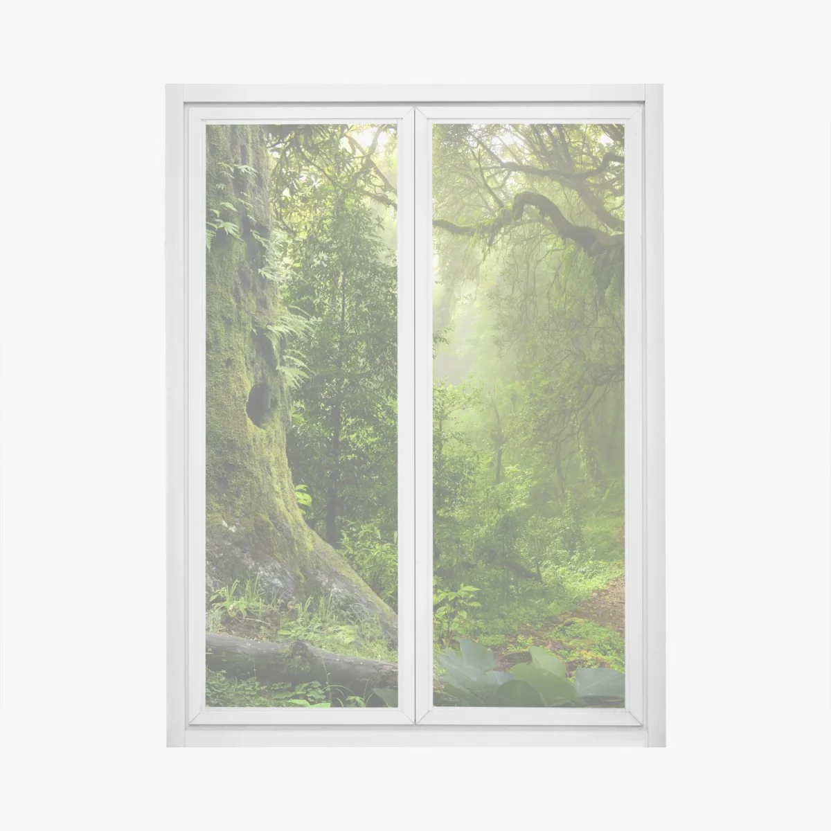 Window decal mossy ancient forest path ⁕ Wallissimo® Window decal mossy ancient forest path ⁕ Wallissimo®
