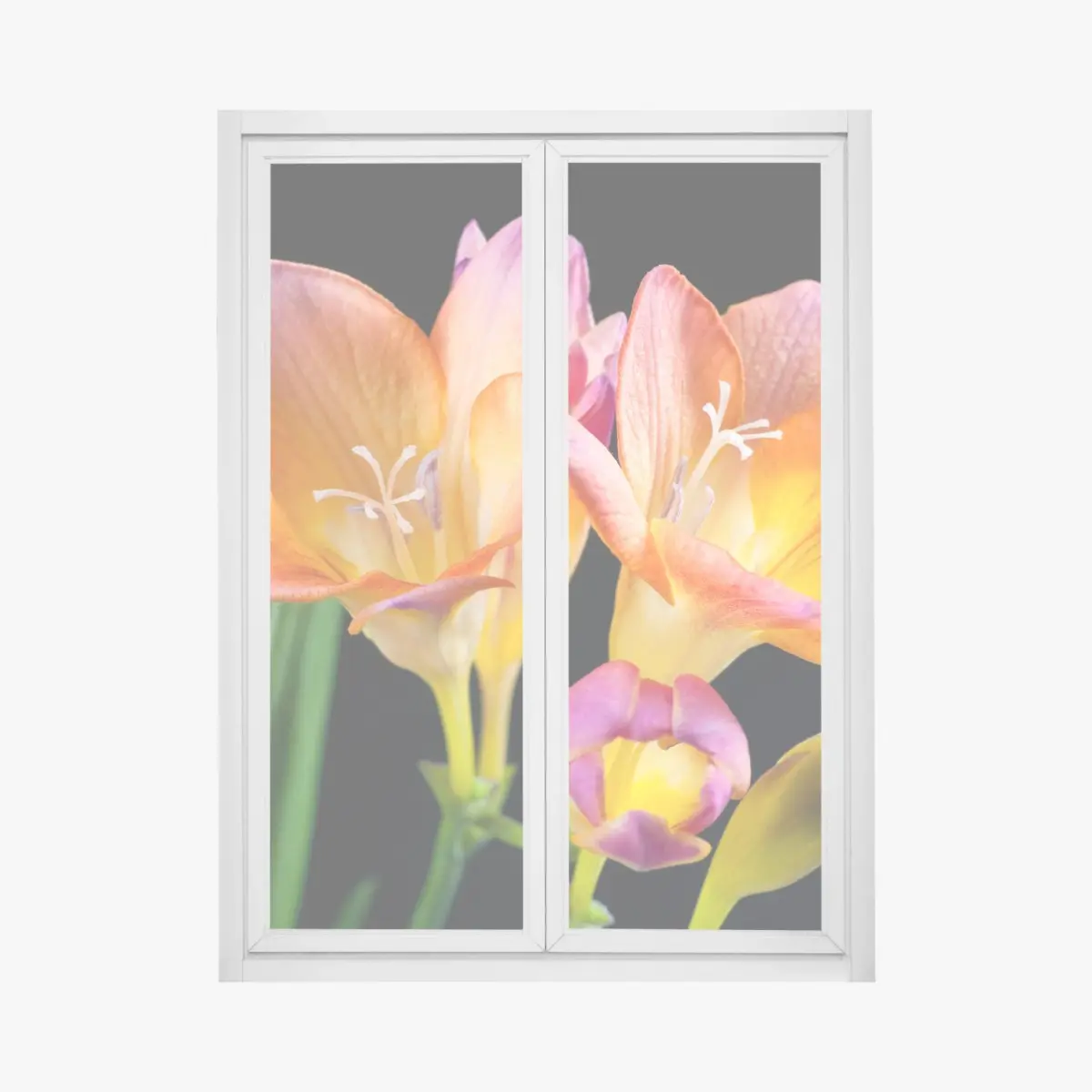Window decal vibrant orange freesia blossoms on black • Wallissimo® Window decal vibrant orange freesia blossoms on black • Wallissimo®