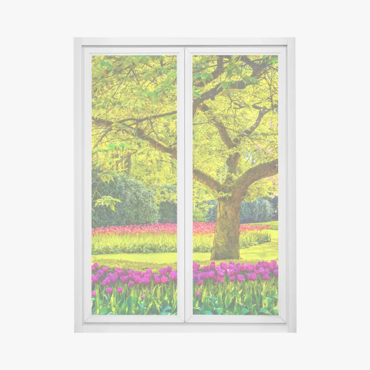 Window decal vibrant tulip garden at Keukenhof • Wallissimo® Window decal vibrant tulip garden at Keukenhof • Wallissimo®