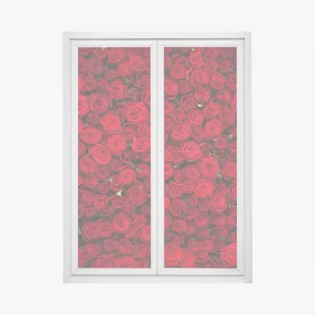 Window decal endless wall of red roses • Wallissimo®