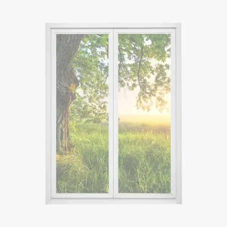 Window decal morning oak in a sunlit meadow • Wallissimo®