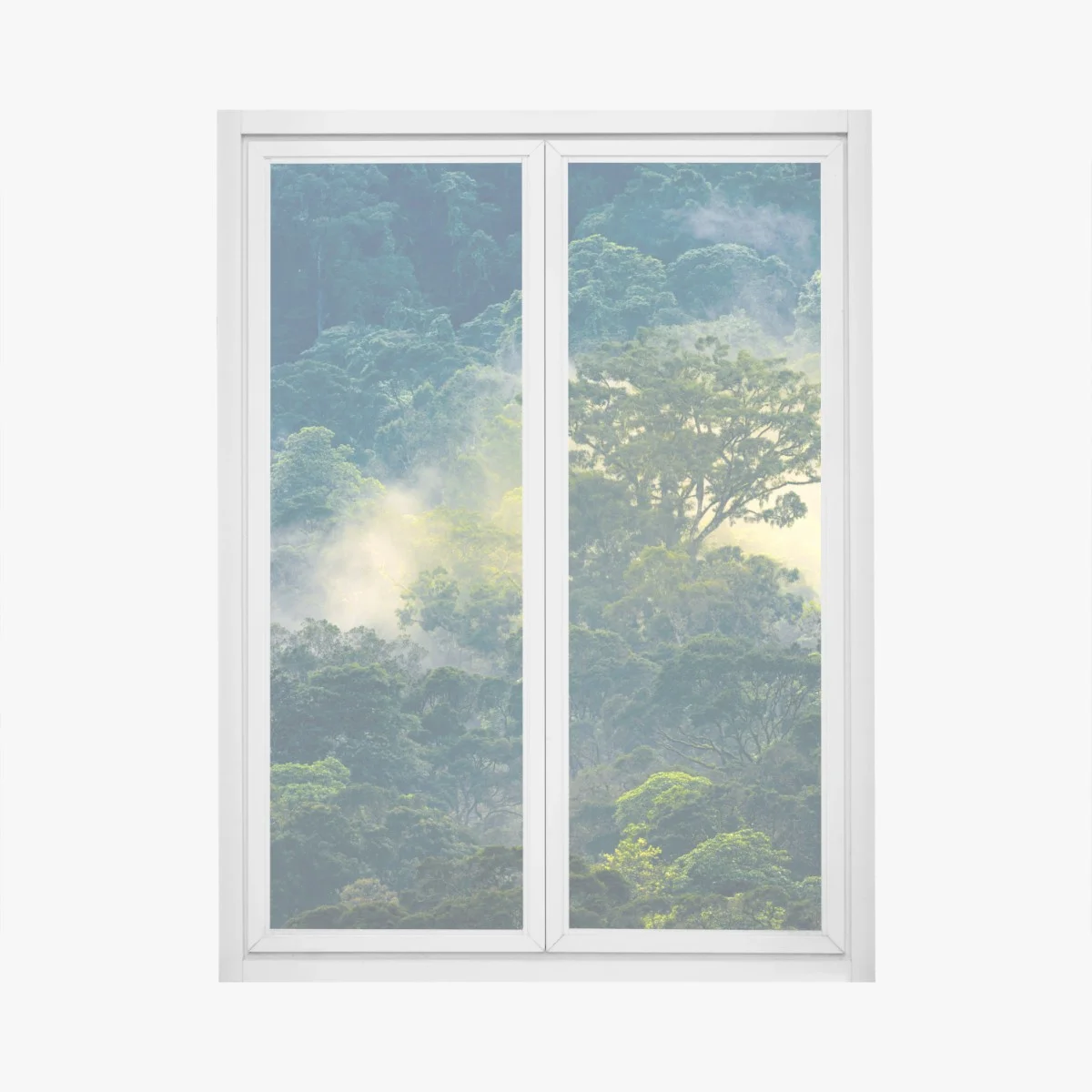 Window decal misty rainforest canopy ⁕ Wallissimo® Window decal misty rainforest canopy ⁕ Wallissimo®