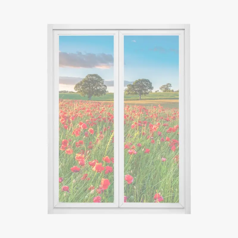 Window decal red poppy field near Corbridge