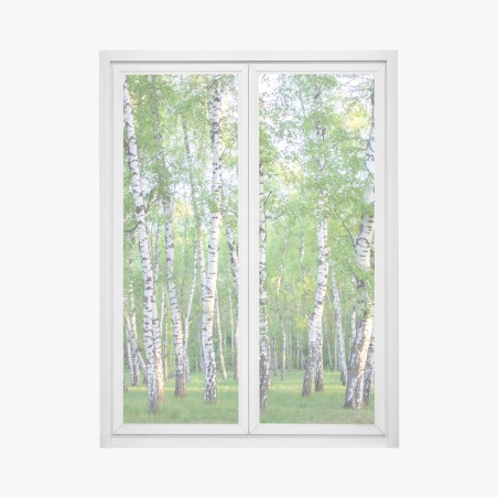 Window decal serene birch grove in summer • Wallissimo®
