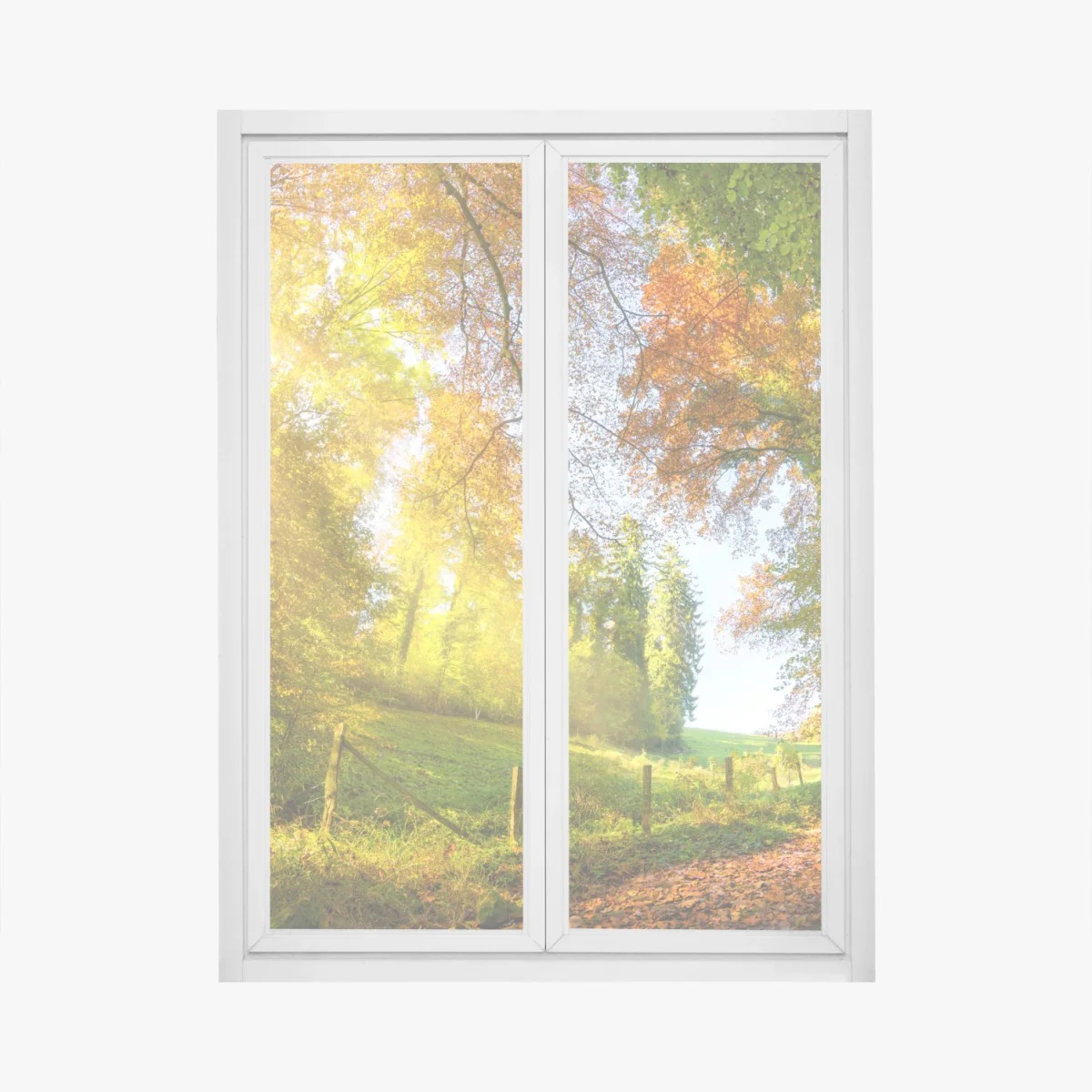 Window decal golden autumn forest path • Wallissimo® Window decal golden autumn forest path • Wallissimo®