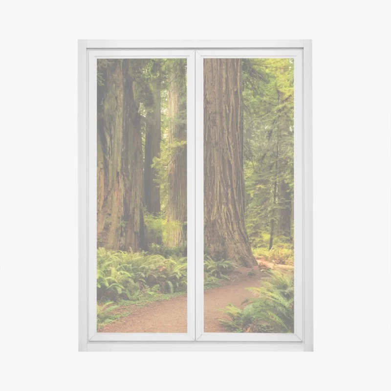 Window decal California redwoods forest trail