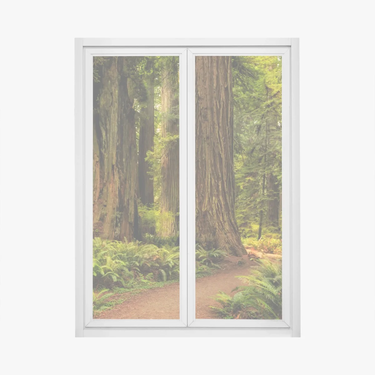 Window decal California redwoods forest trail • Wallissimo® Window decal California redwoods forest trail • Wallissimo®
