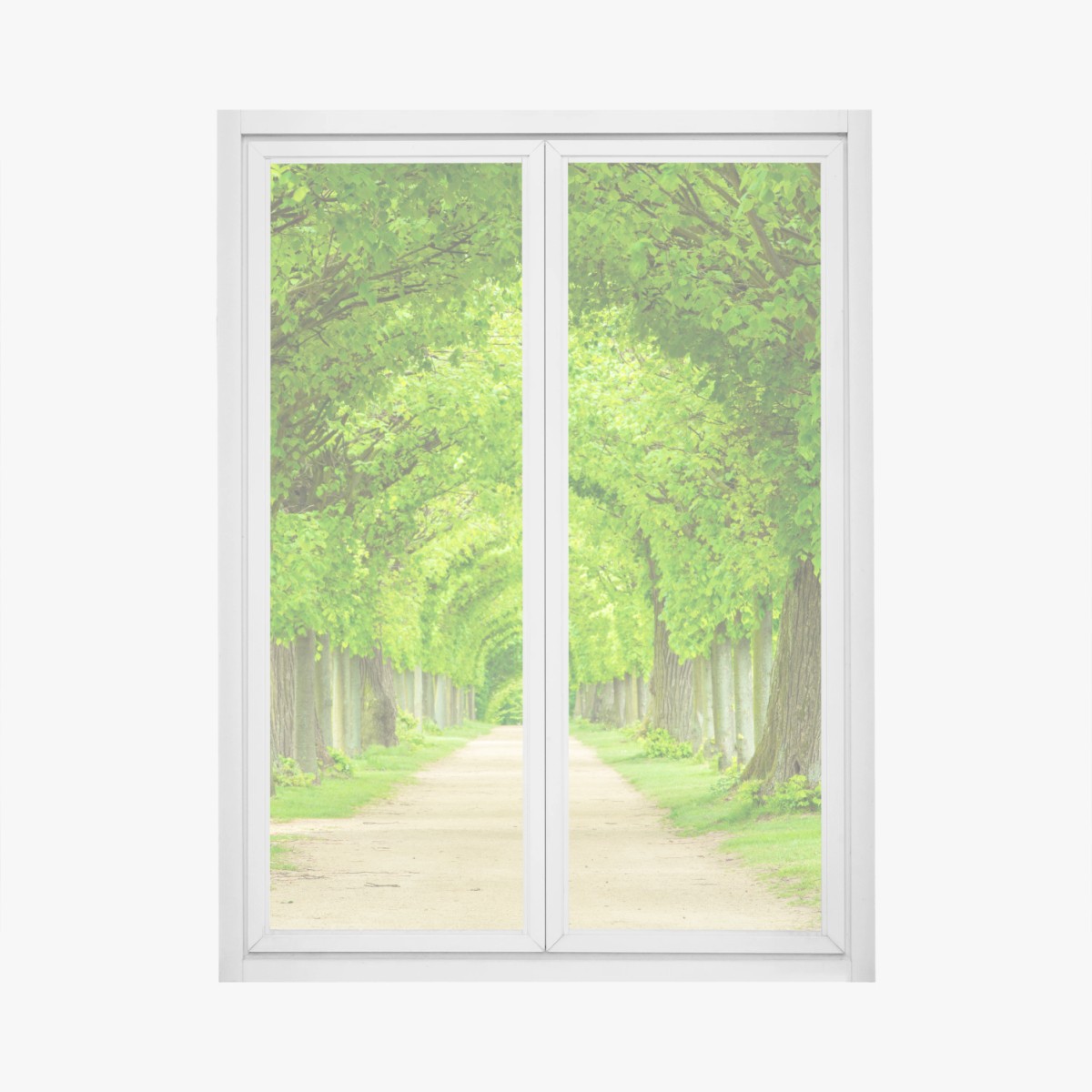 Window decal green tree tunnel walkway • Wallissimo® Window decal green tree tunnel walkway • Wallissimo®