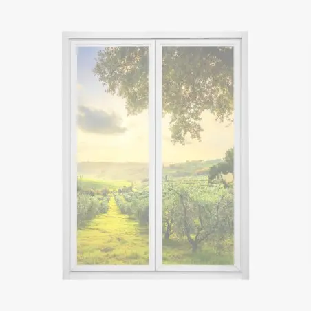 Window decal olive grove at sunset in Maremma, Tuscany • Wallissimo®