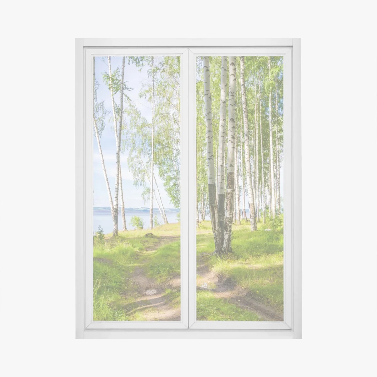 Window decal sunlit birch grove by the water ⁕ Wallissimo® Window decal sunlit birch grove by the water ⁕ Wallissimo®