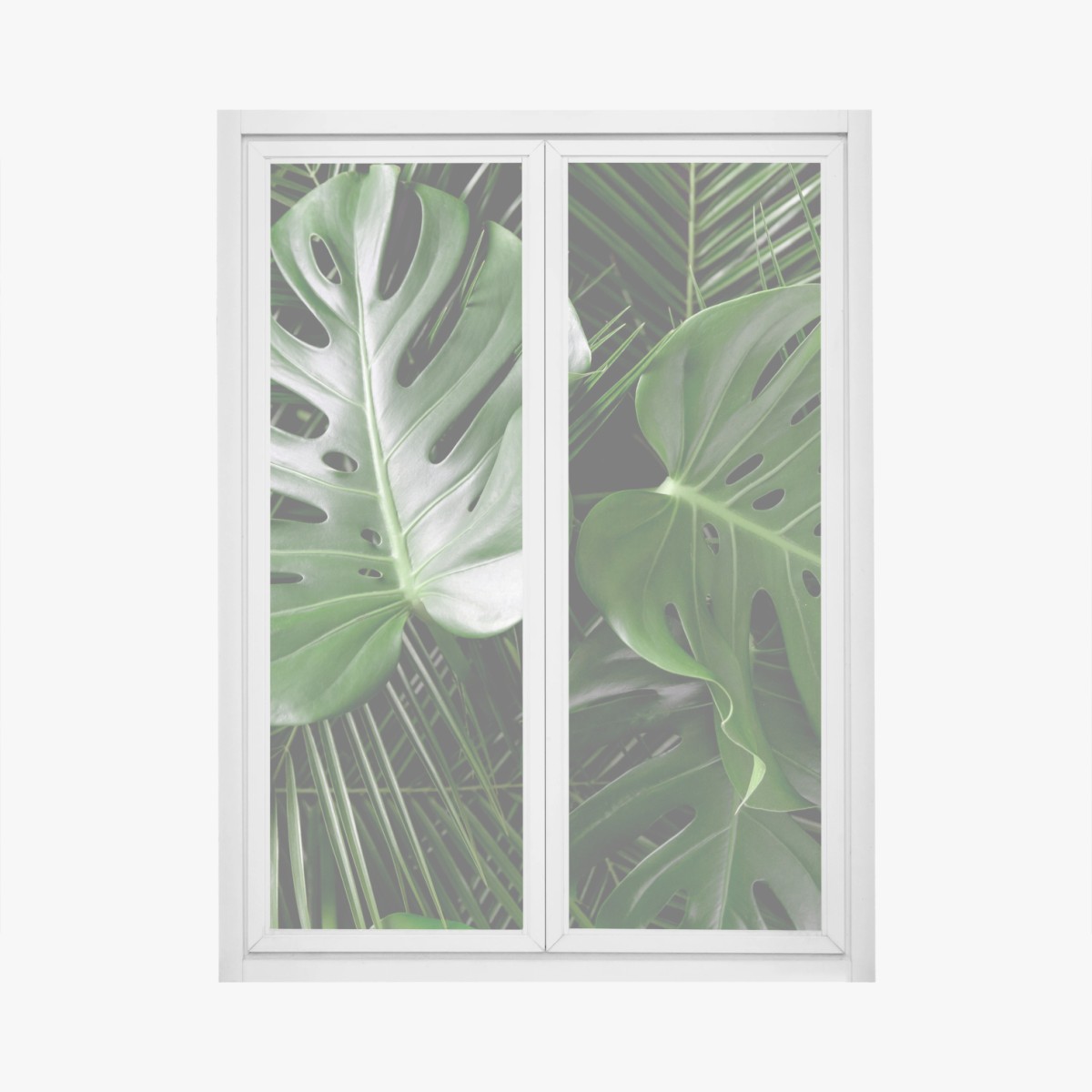 Window decal lush monstera leaves composition • Wallissimo® Window decal lush monstera leaves composition • Wallissimo®