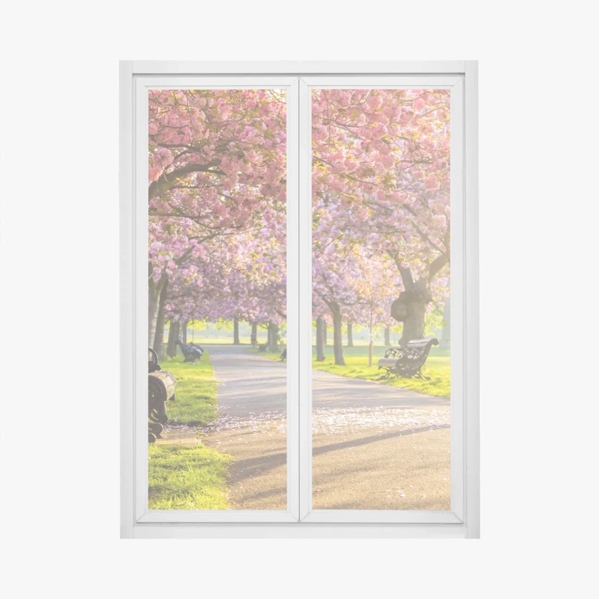 Window decal cherry blossom avenue in spring • Wallissimo® Window decal cherry blossom avenue in spring • Wallissimo®