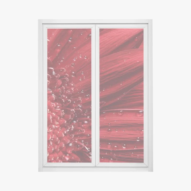 Window decal red gerbera daisy close-up with dewdrops