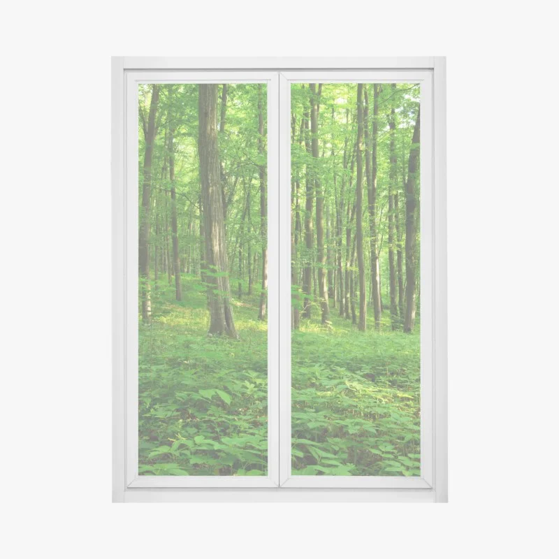 Window decal sunlit green forest in spring