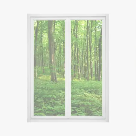 Window decal sunlit green forest in spring • Wallissimo®