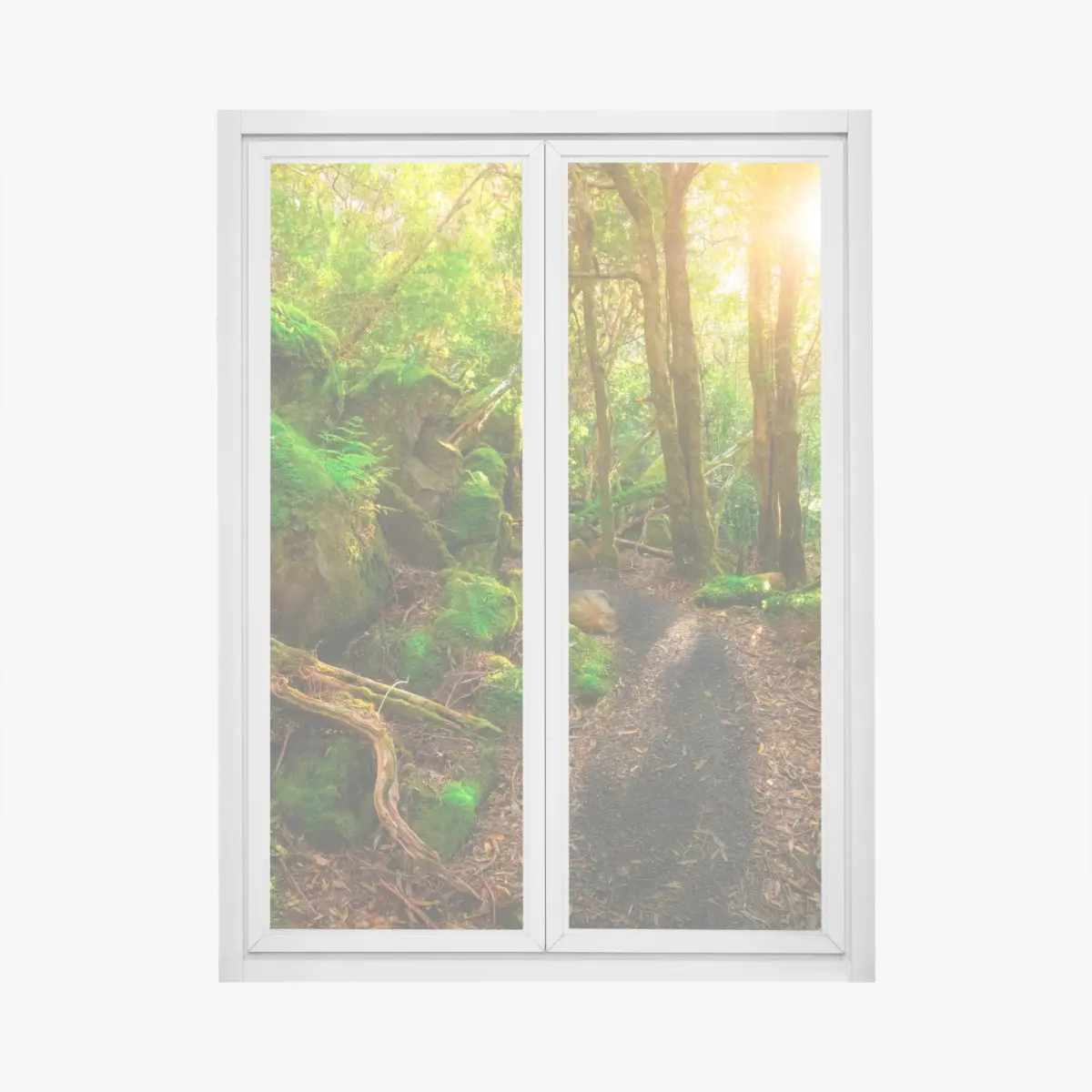 Window decal sunlit rainforest path in Tasman Peninsula, Tasmania • Wallissimo® Window decal sunlit rainforest path in Tasman Peninsula, Tasmania • Wallissimo®