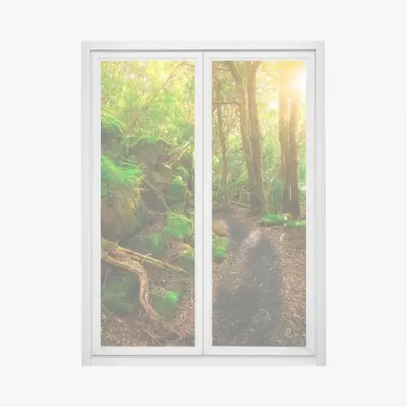 Window decal sunlit rainforest path in Tasman Peninsula, Tasmania • Wallissimo®