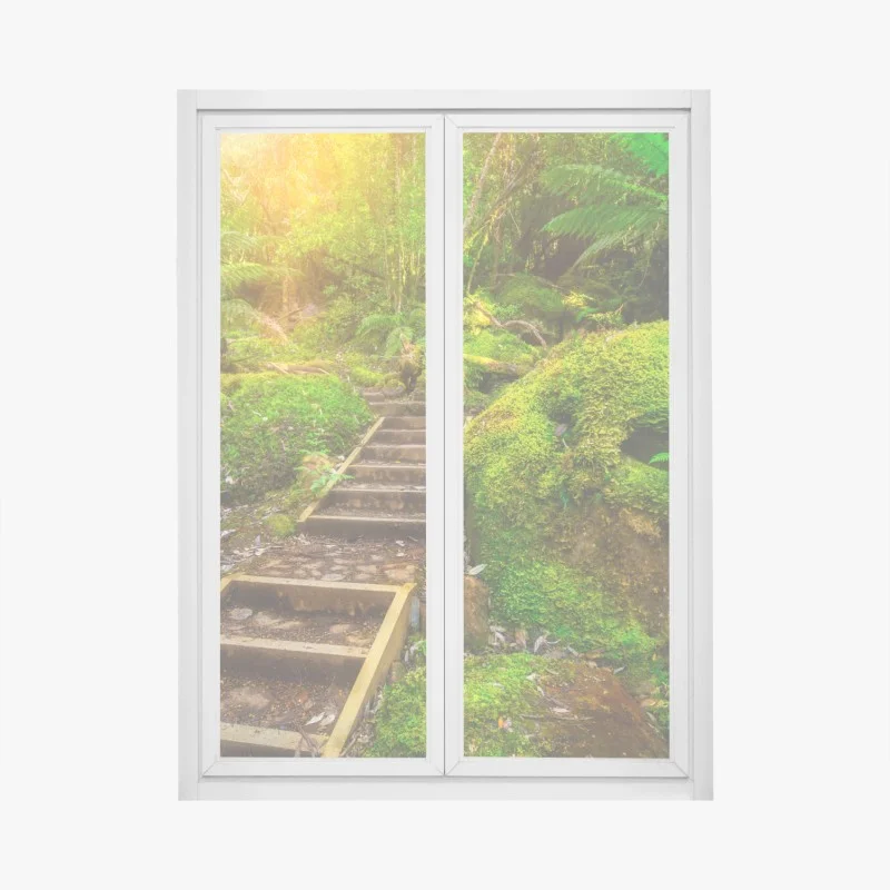 Window decal mossy rainforest path on Tasman Peninsula