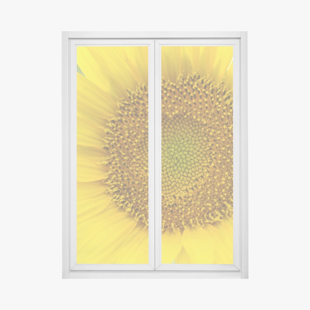 Window decal bright sunflower close-up • Wallissimo® Window decal bright sunflower close-up • Wallissimo®