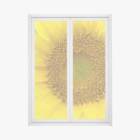 Window decal bright sunflower close-up • Wallissimo®